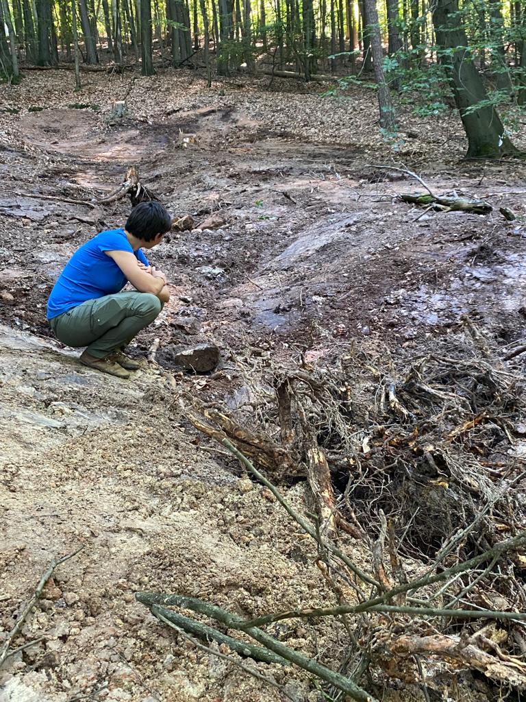 Kistbrünnchen nach Renaturierung - das Rohr wurde entfernt, der Bach fließt nun wieder an der Oberfläche (LBV AB-MIL)