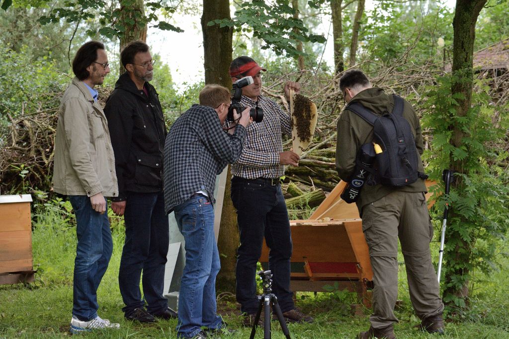 Die Teilnehmer lernen über das gut organisierte Leben der Bienen