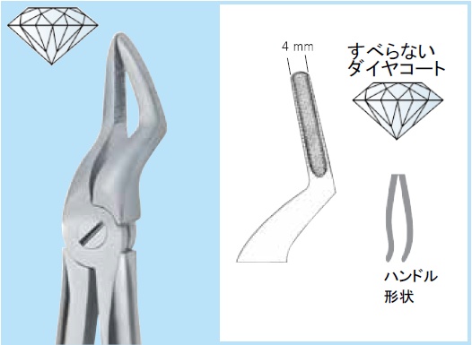 マーチン抜歯用鉗子