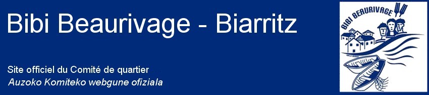 Site de bibibeaurivage !