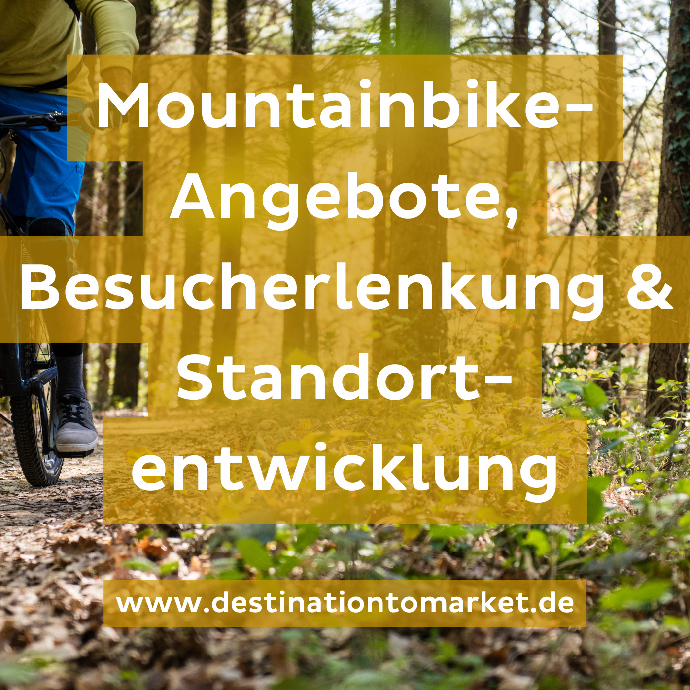 Mountainbike-Angebote als Schlüssel zur Besucherlenkung und Standortentwicklung