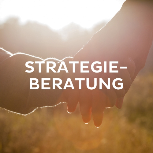 Strategieberatung Marketing www.destinationtomarket.de