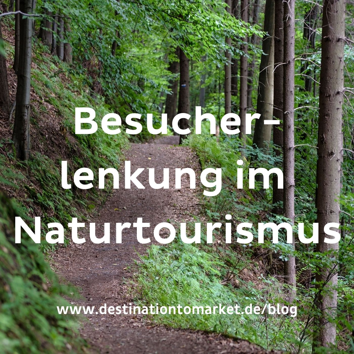 Besucherlenkung im Naturtourismus: Ja, aber richtig!