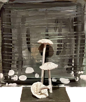 Artist E. Biel www.bielcolor.com