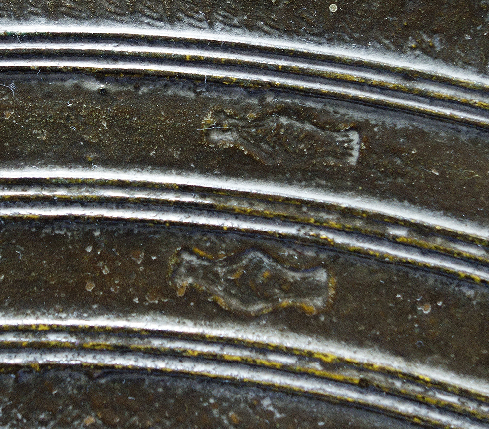 Aviform patterns on the tympanum.