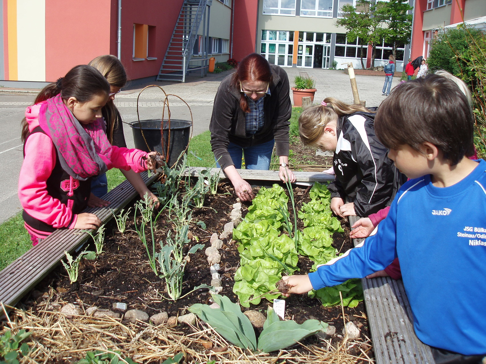 SchulgartenAG Grundschule Sietland