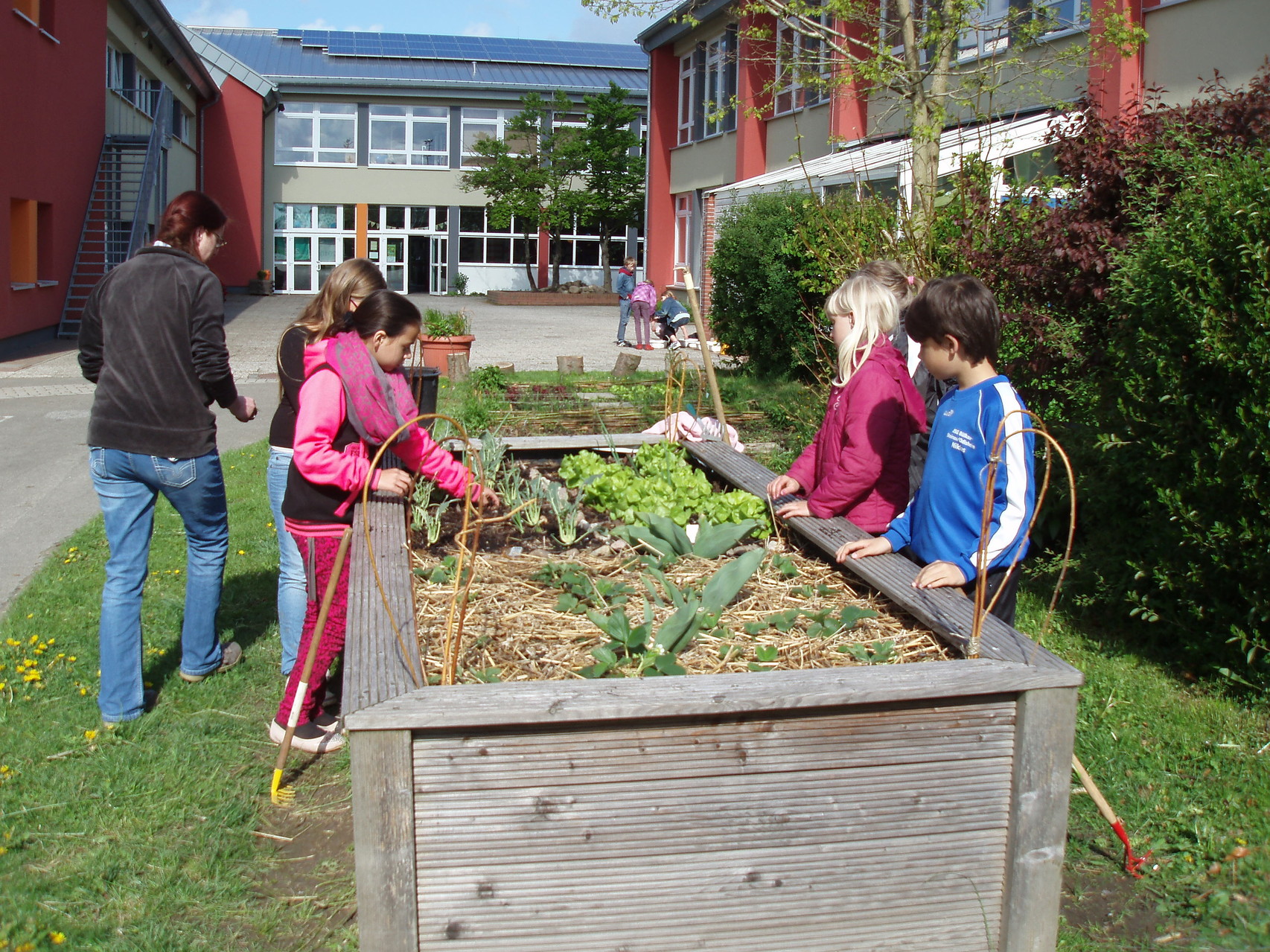 SchulgartenAG Grundschule Sietland