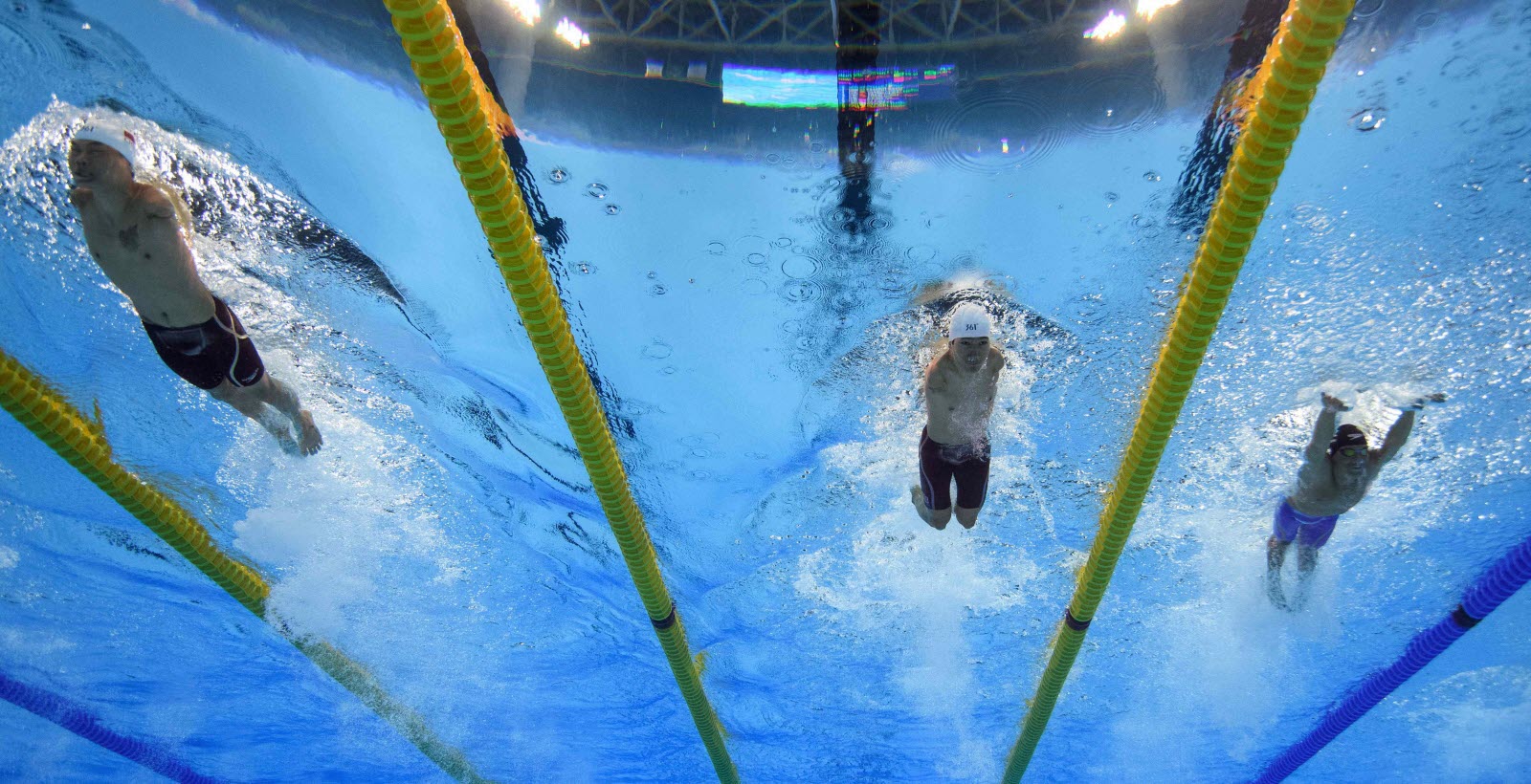 Grilles / Temps la natation pour tous