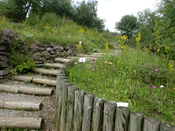 Le jardin en 2004, 2005 et 2006 où ont été prises les photos ci-dessus