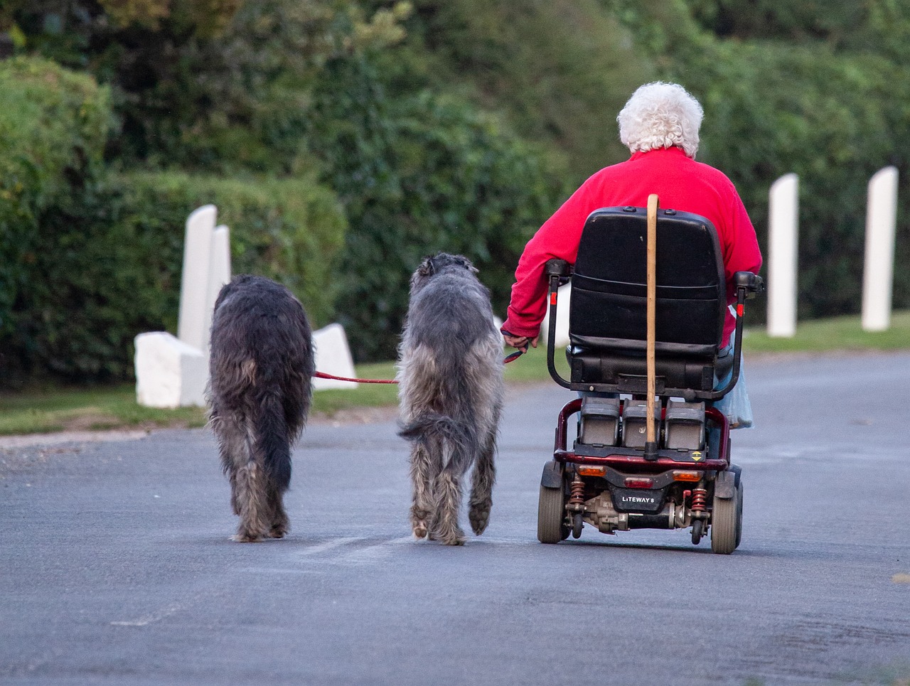 Waarom is een scootmobiel met 3 wielen steeds meer in trek in 2026?