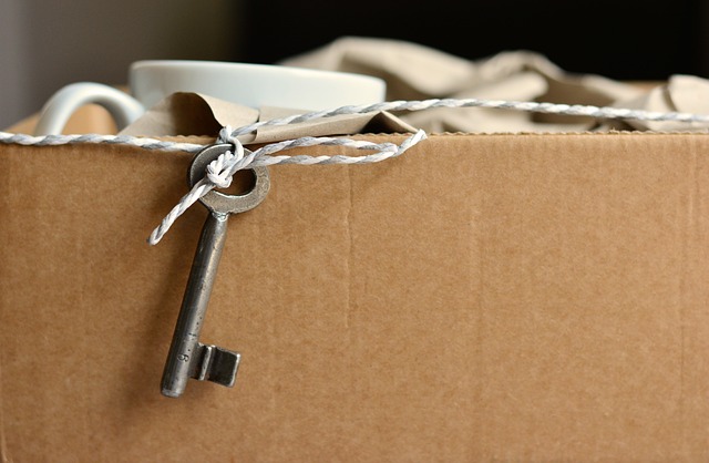Hoe organiseer je een verhuizing?