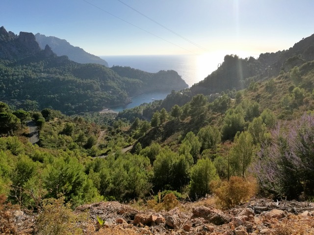 Viel Natur (Foto: Jörg Plate)