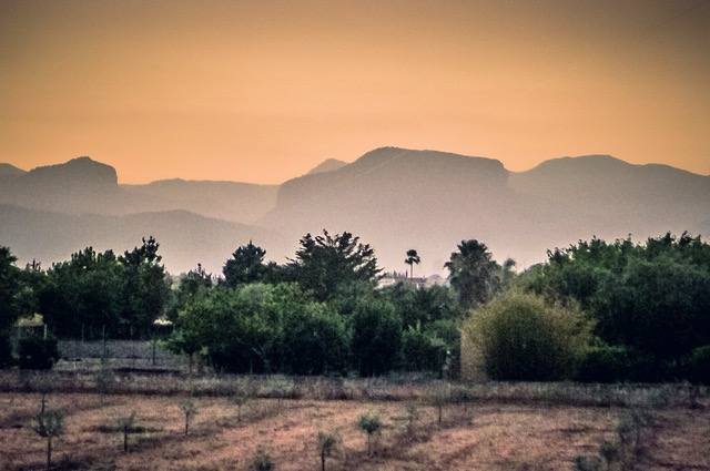 Abendstimmung (Foto: Ulrike Parnow)