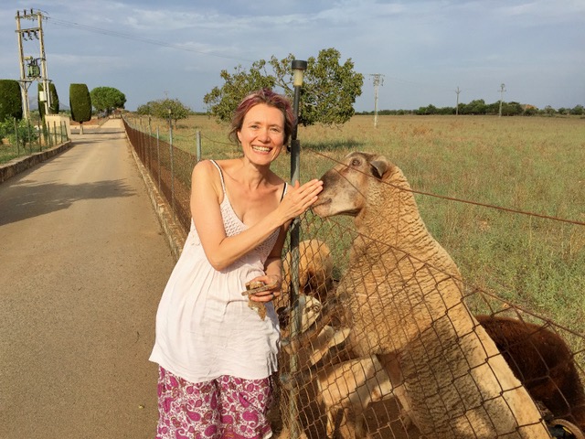 Susi und ihr Lieblingsschaf (erwachsen)