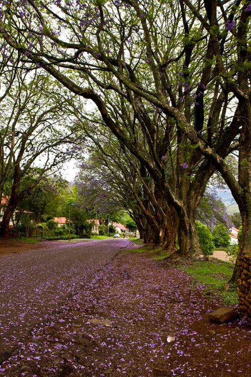 South Africa: