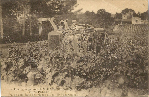 Carte postale rare vue de côté d'un tracteur Georges Vidal dans les vignes à 1m50 d'écartement ... 
