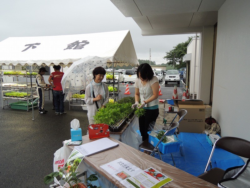 野菜いりませんか。