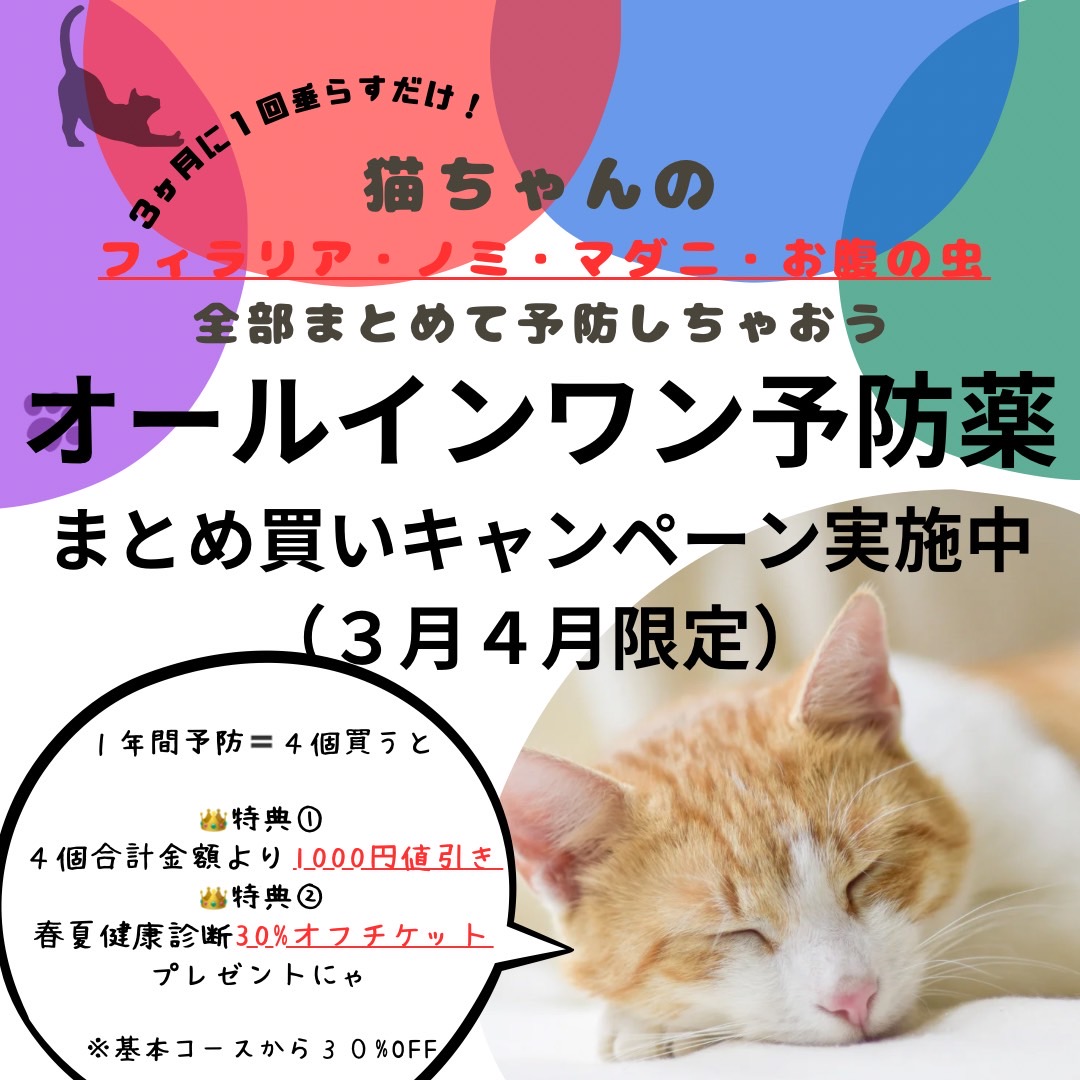 ブラべクトプラス🐈キャンペーン
