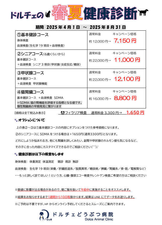 春夏健康診断キャンペーン