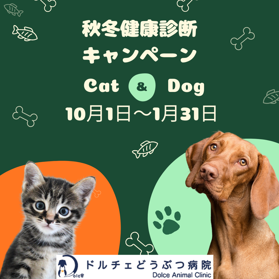 秋冬健診キャンペーンについて