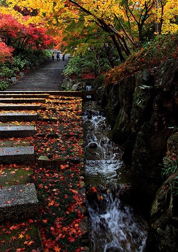 「　秋　風　情　」　 箕面・勝尾寺　　　　　永井三郎