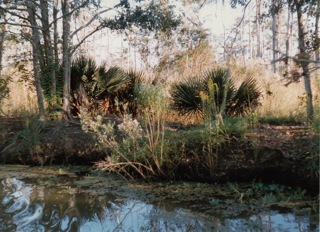 Louisiana