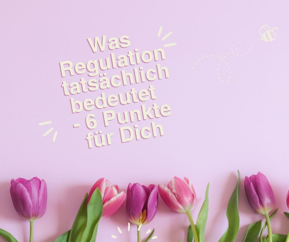 Was Regulation tatsächlich bedeutet - 6 Punkte für Dich