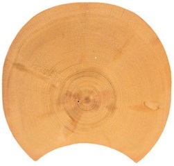  Rundbohle 230 mm - Blockhaus, Holzhaus, Einfamilienhaus, Wohnhaus, Rundbohlenhaus 