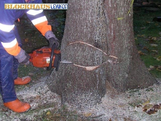 Holzfäller bei der Arbeit - Holz - Massivholz 