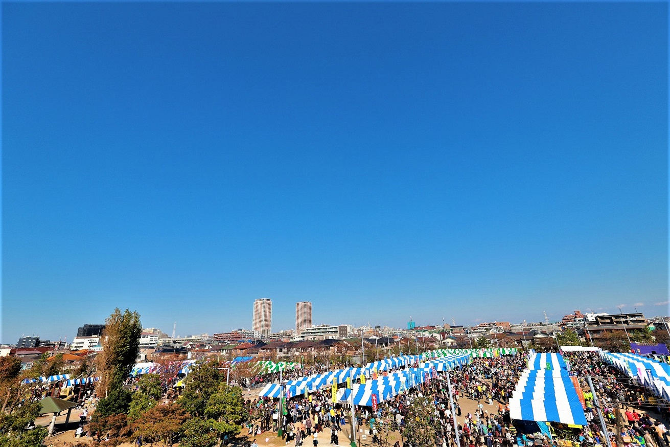 第50回いちかわ市民まつり