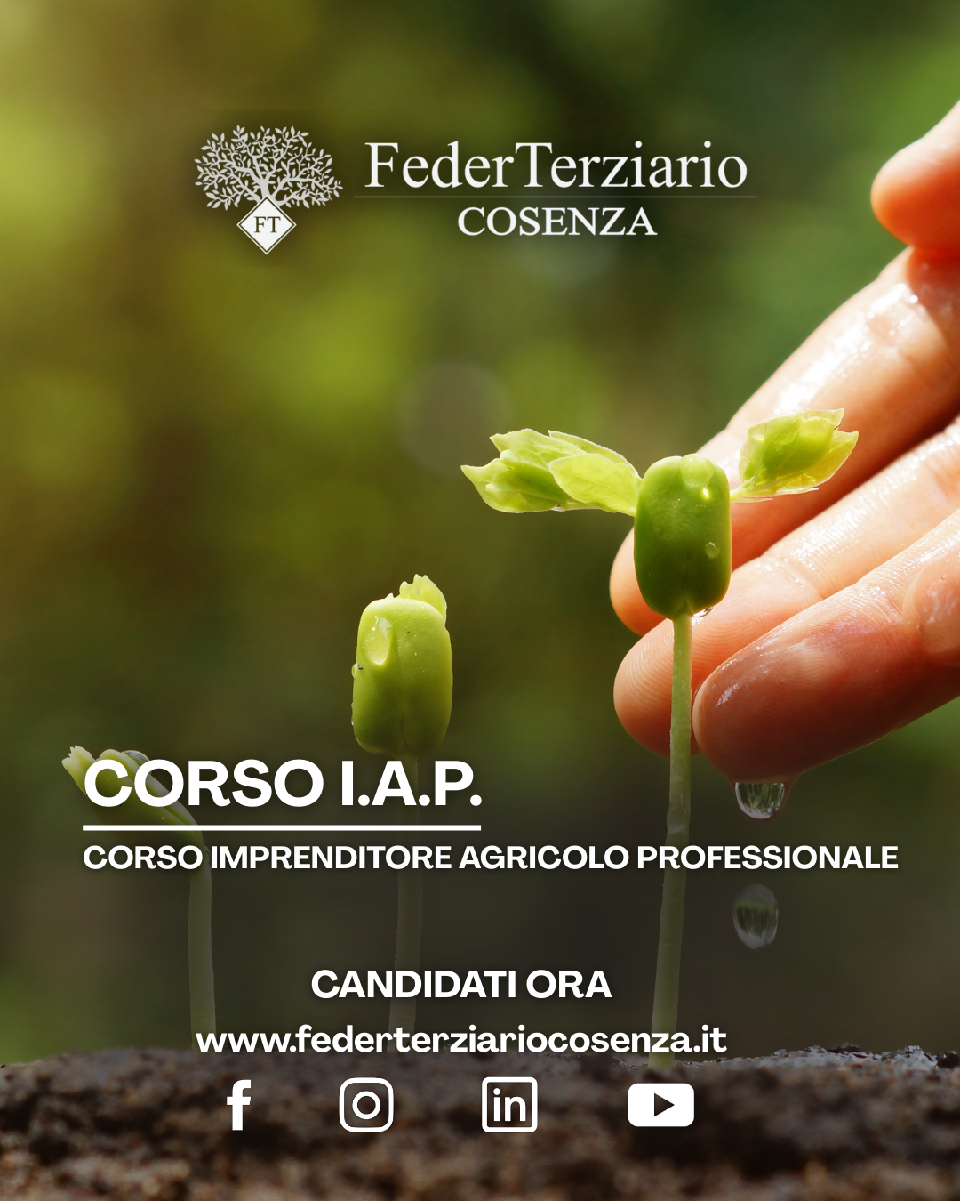 Corso I.A.P.: Diventa Imprenditore Agricolo Professionale con Federterziario Cosenza