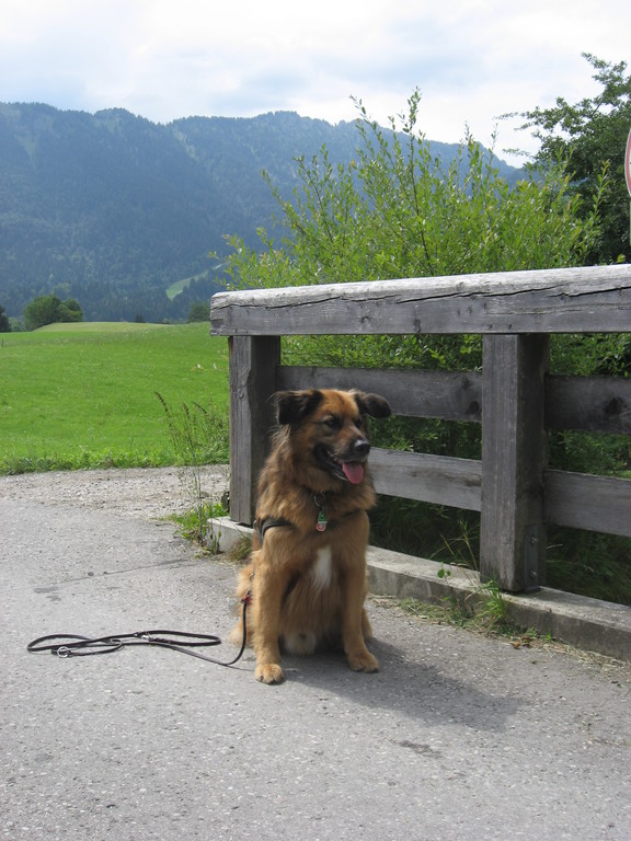 Wanderung zur Romanshöhe