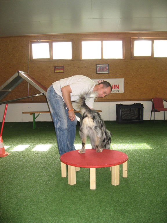 Ronny und Kyra bei der Übung "Stufe"