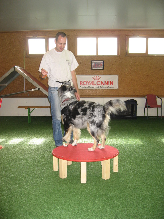 Ronny und Kyra bei der Übung "Tisch"