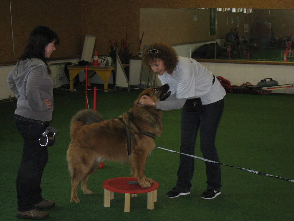 Sabine und Lenny mit Mica im Longierkreis