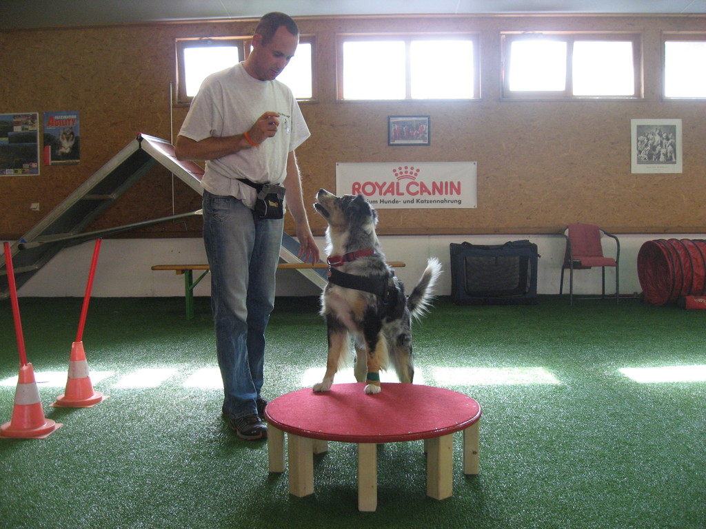 Ronny und Kyra bei der Übung "Hocker"