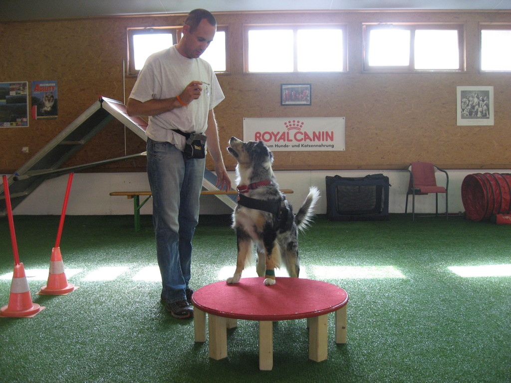 Ronny und Kyra bei der Übung "Hocker"