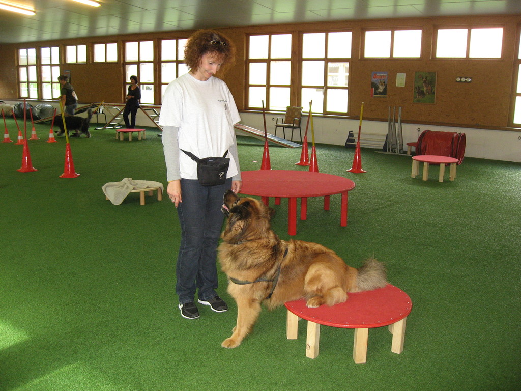 Sabine und Lenny bei der Übung "Stufe" (?!?)