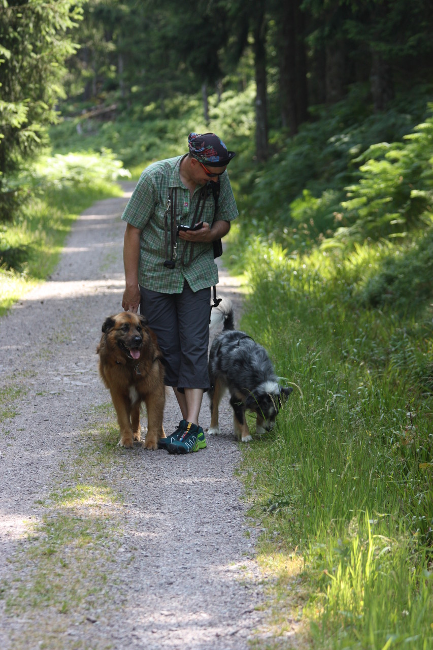 Wanderung zur Badener Höhe