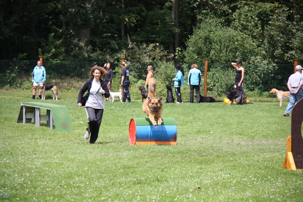 THS-Turnier Hüffenhardt 2009