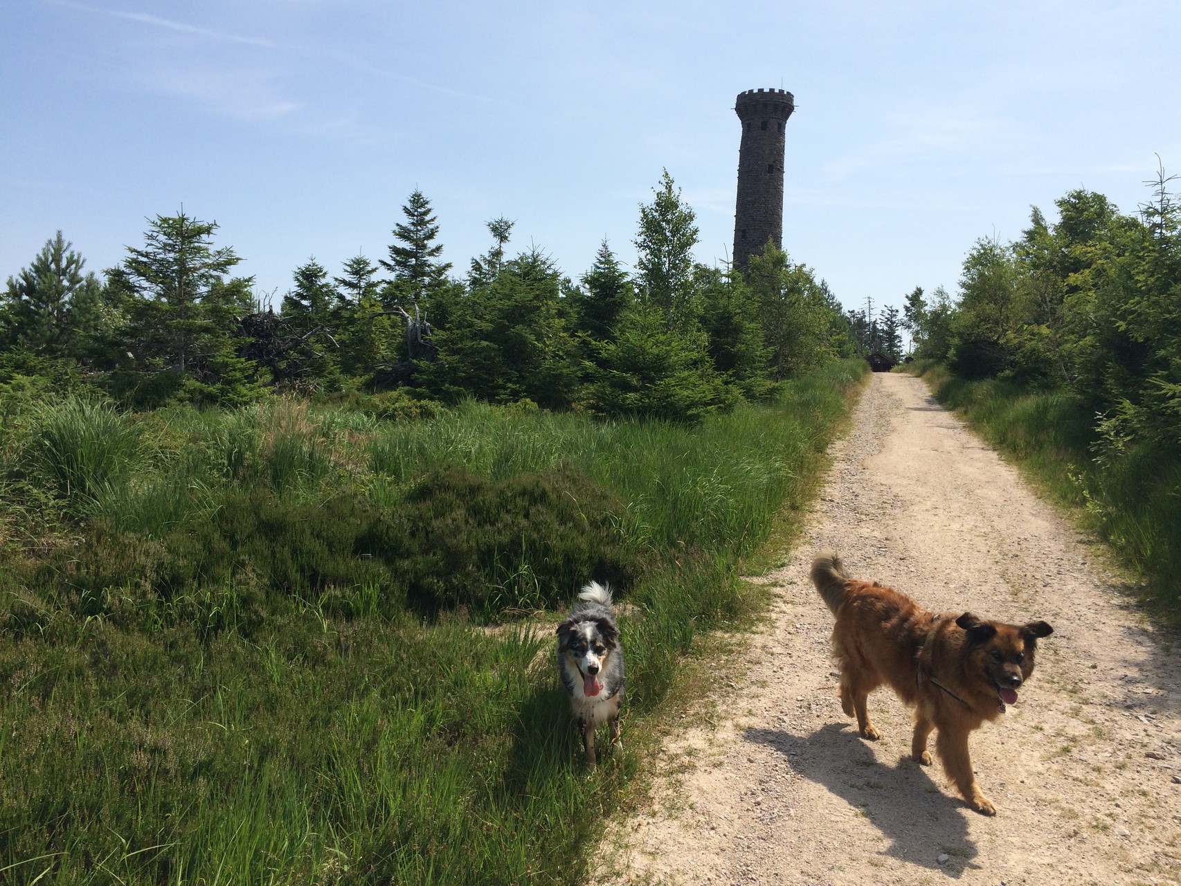 Wanderung zur Badener Höhe