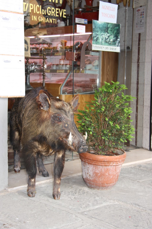 Greve - Macelleria mit Wildschwein-Produkten