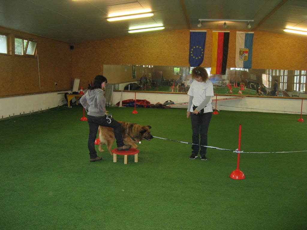 Sabine und Lenny mit Mica im Longierkreis