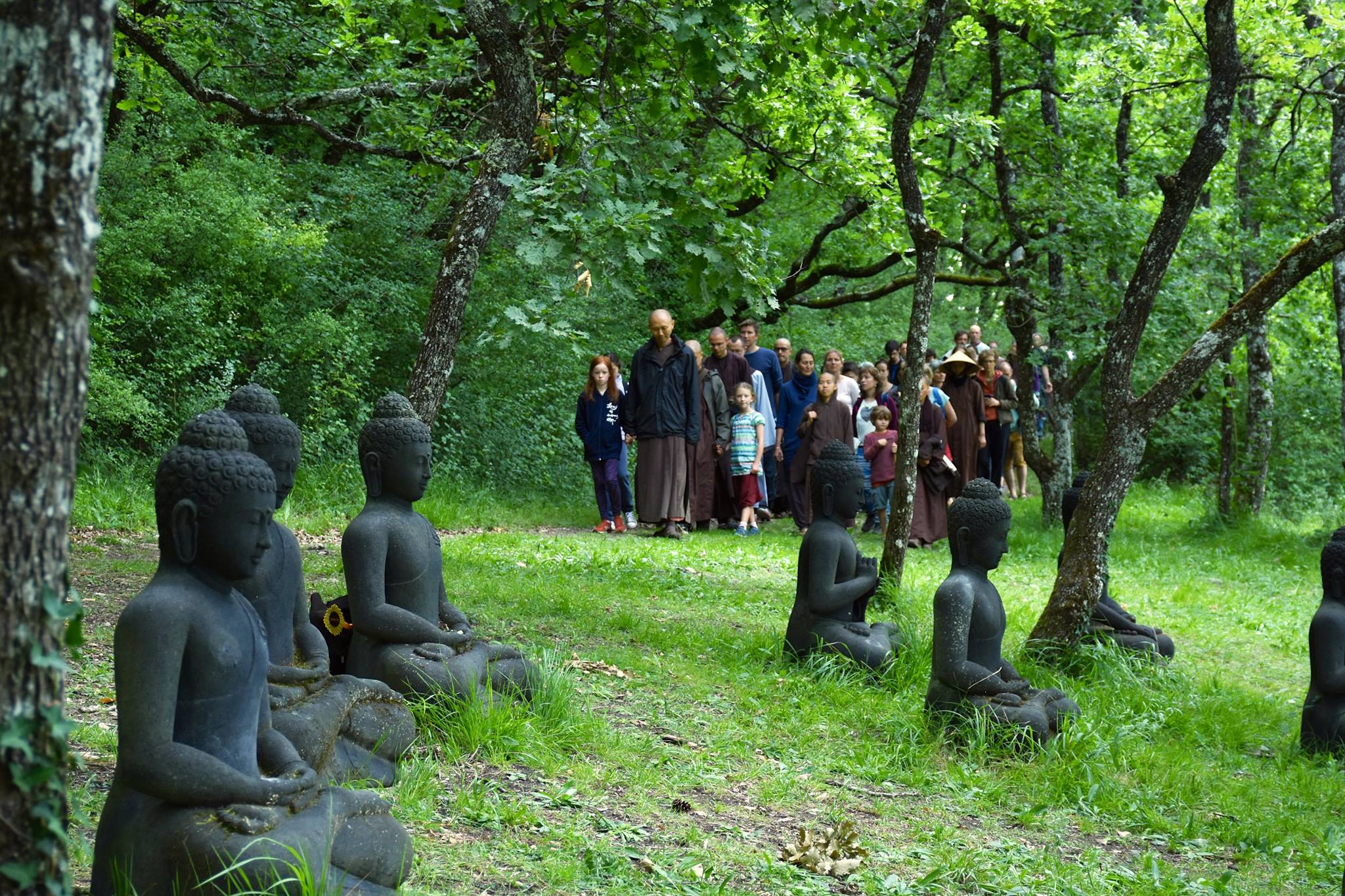 May 17 19 Ãã£ã¯ Ããã Ãã³ã®æãã®ã³ãã¥ããã£ Beloved Community On the plum village app channel we're sharing guided meditations, songs and chants plum village is a new, free mindfulness app with buddhist insights and guided meditations offered by zen master. may 17 19 ãã£ã¯ ããã ãã³ã®æãã®ã³ãã¥ãã