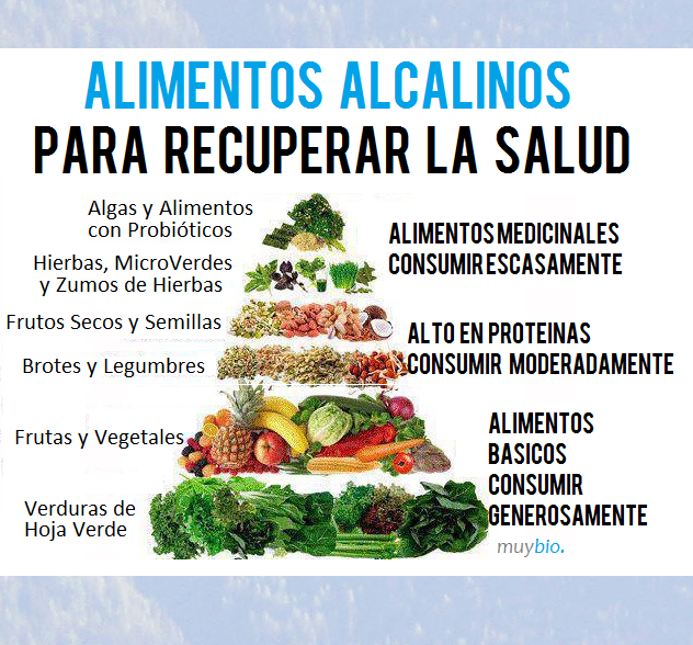 Jugos verdes para adelgazar la sangre de cristo