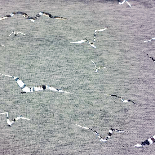 1.Hellgrau silber Vögel, Jersey 70% PE, 15% Co, 15% Vi