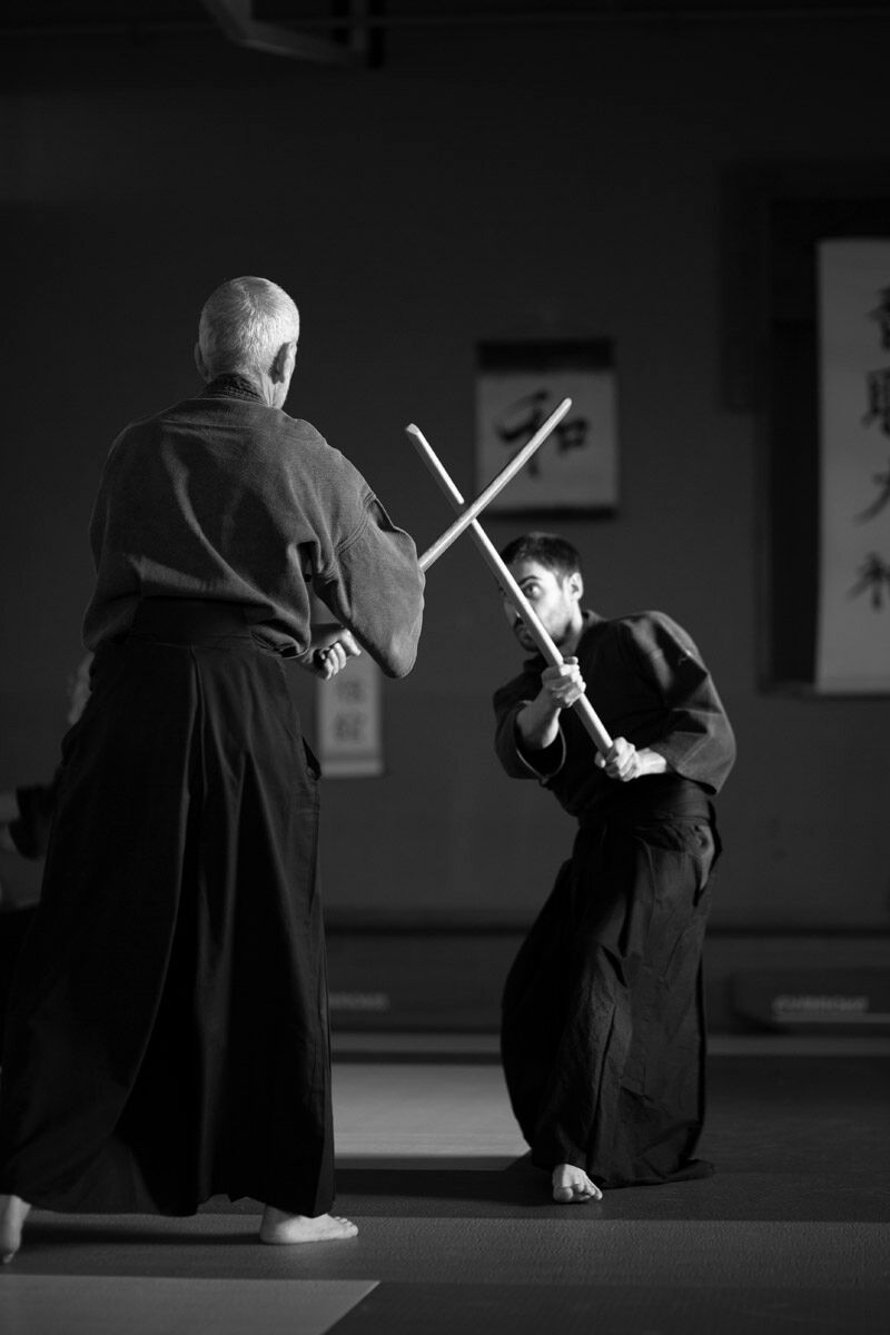 Le kenjutsu (剣術), littéralement « technique du sabre », est l'art du