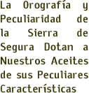 Virgen Extra y Aceite virgen