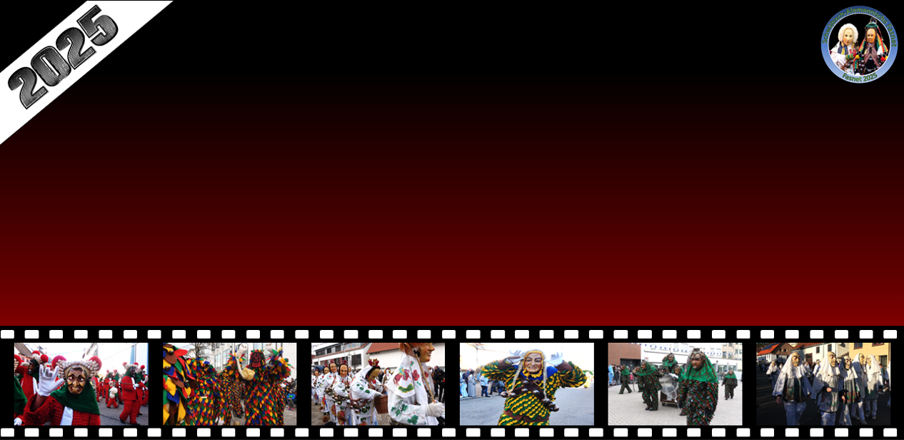  Narrentreffen 2026 - Schwäbisch-Alemannische Fasnet Motiv 