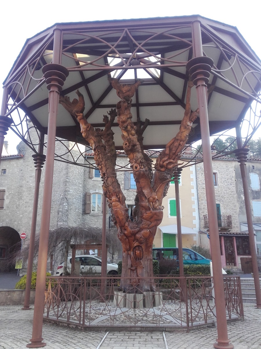 L'arbre du Caylar